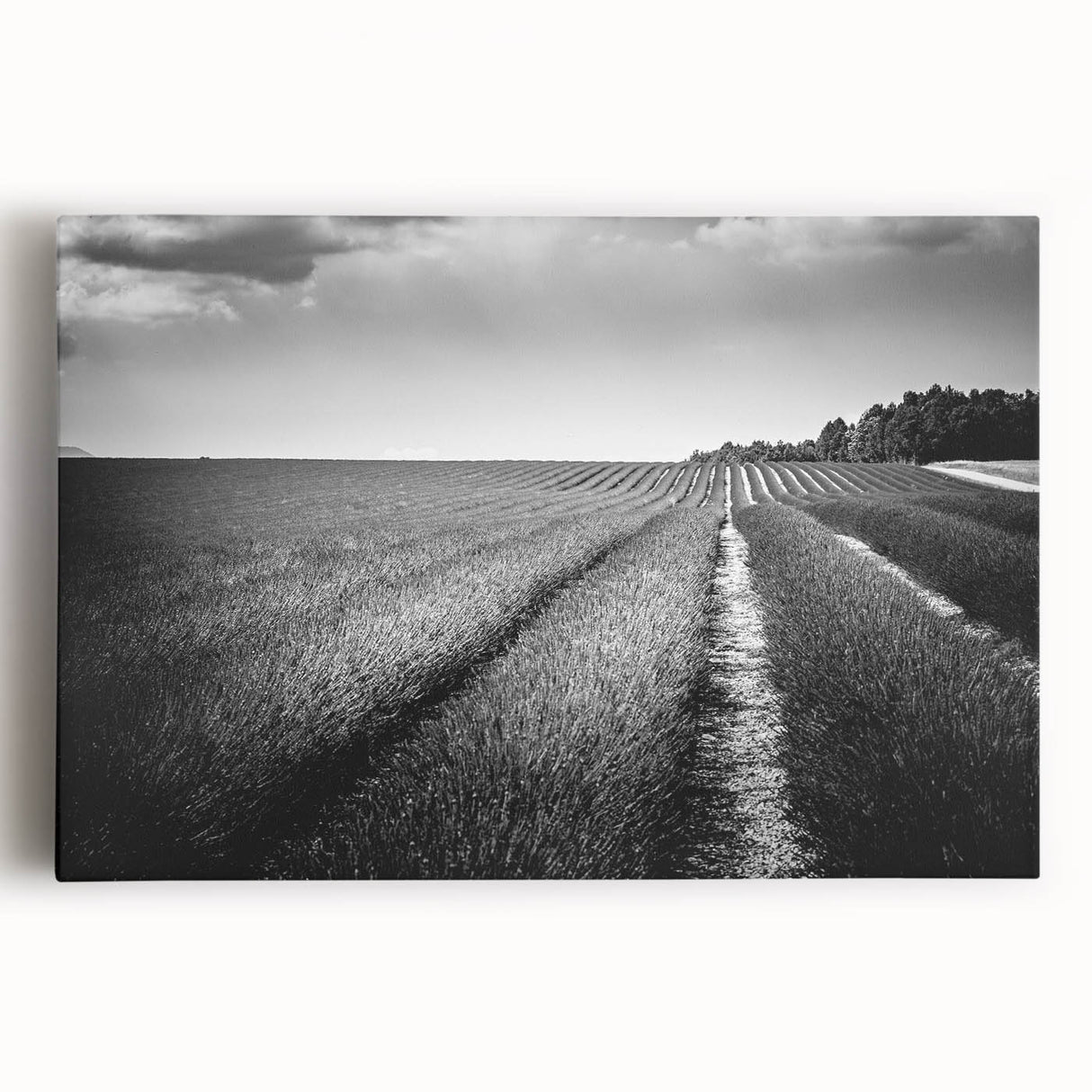 Stretched canvas wall art depicting a vibrant landscape field design, showcasing lush green fields and a blue sky, perfect for home decor.