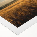 Rolled canvas artwork depicting a serene landscape with golden fields and soft blue skies, designed for home decor. Ideal for nature lovers seeking tranquility.