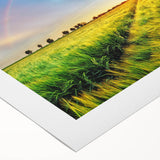 Vibrant rolled canvas artwork showcasing a serene landscape design with lush green fields and a bright blue sky, ideal for home decor and art enthusiasts.