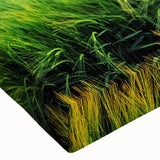 Close-up of a stretched canvas featuring vibrant landscape field design with rich colors and intricate details, perfect for enhancing modern home decor.