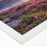 Vibrant rolled canvas showcasing a beautiful landscape field design in soft greens and blues, perfect for home decor and artistic ambiance.