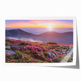 Vibrant rolled canvas print showcasing a serene landscape with fields and rolling hills, emphasizing earthy tones and natural beauty, ideal for home decor.