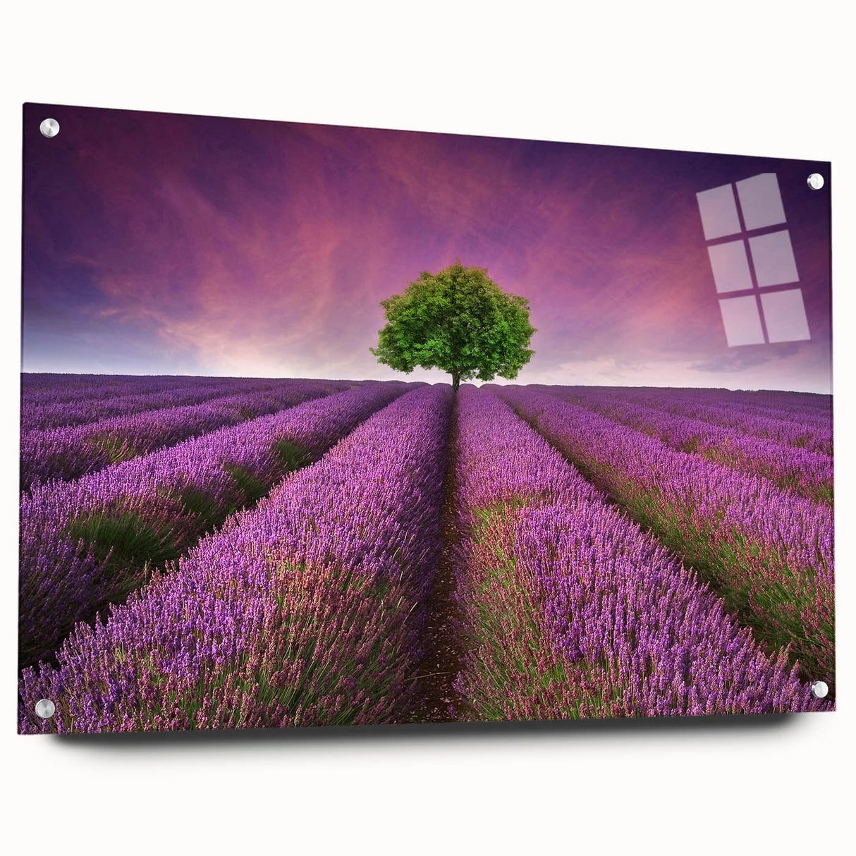 Acrylic glass wall art piece showcasing vibrant landscape fields design, viewed from the side with decorative pins, ideal for modern home decor and art enthusiasts.