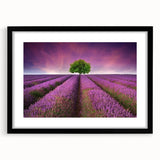 Framed wall art showcasing a vibrant landscape field design, featuring a black mat and sleek frame, ideal for home or office decor. Perfect for nature lovers.