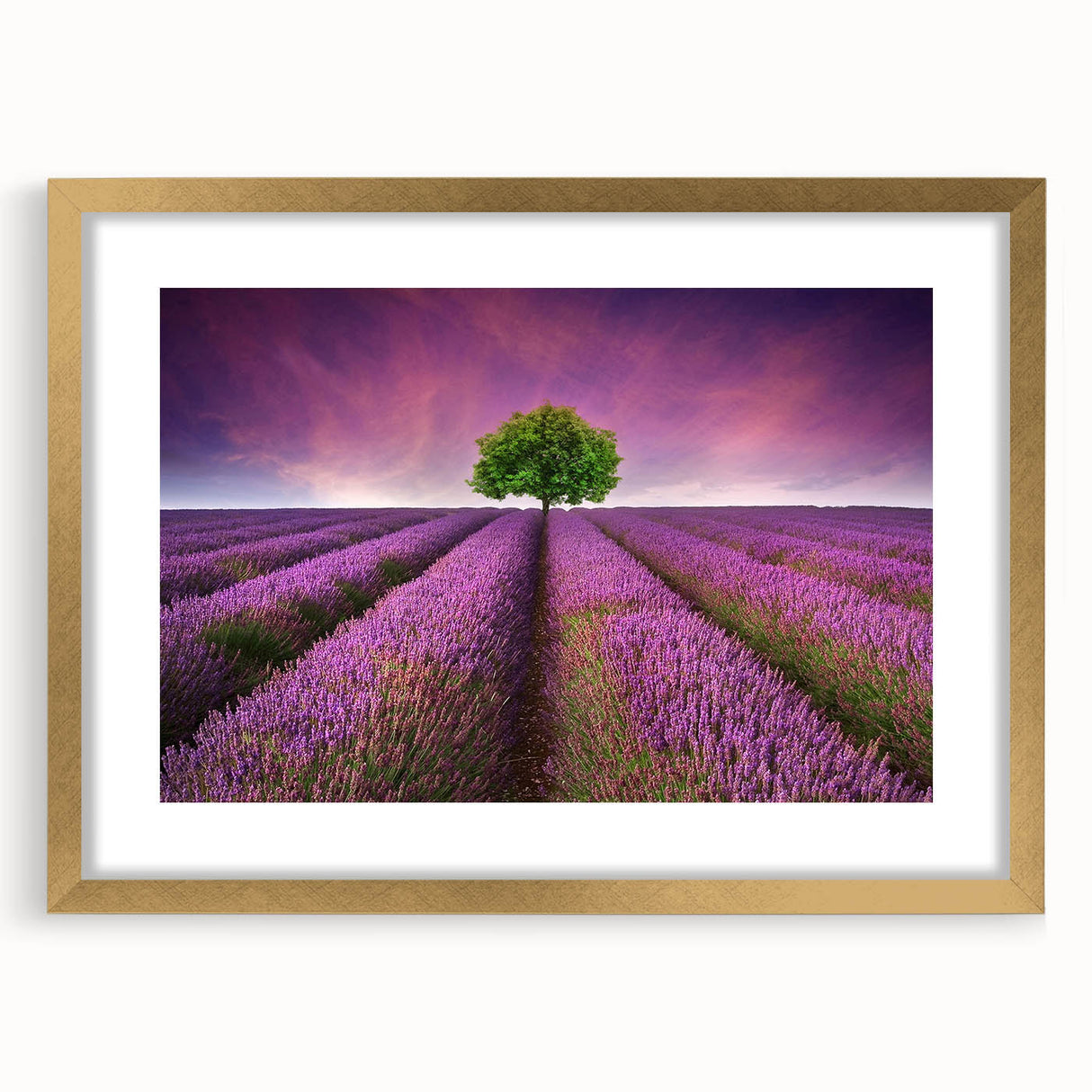 Framed wall art collection showcasing vibrant landscapes and fields, featuring a gold frame and mat, ideal for enhancing home decor with a touch of elegance.
