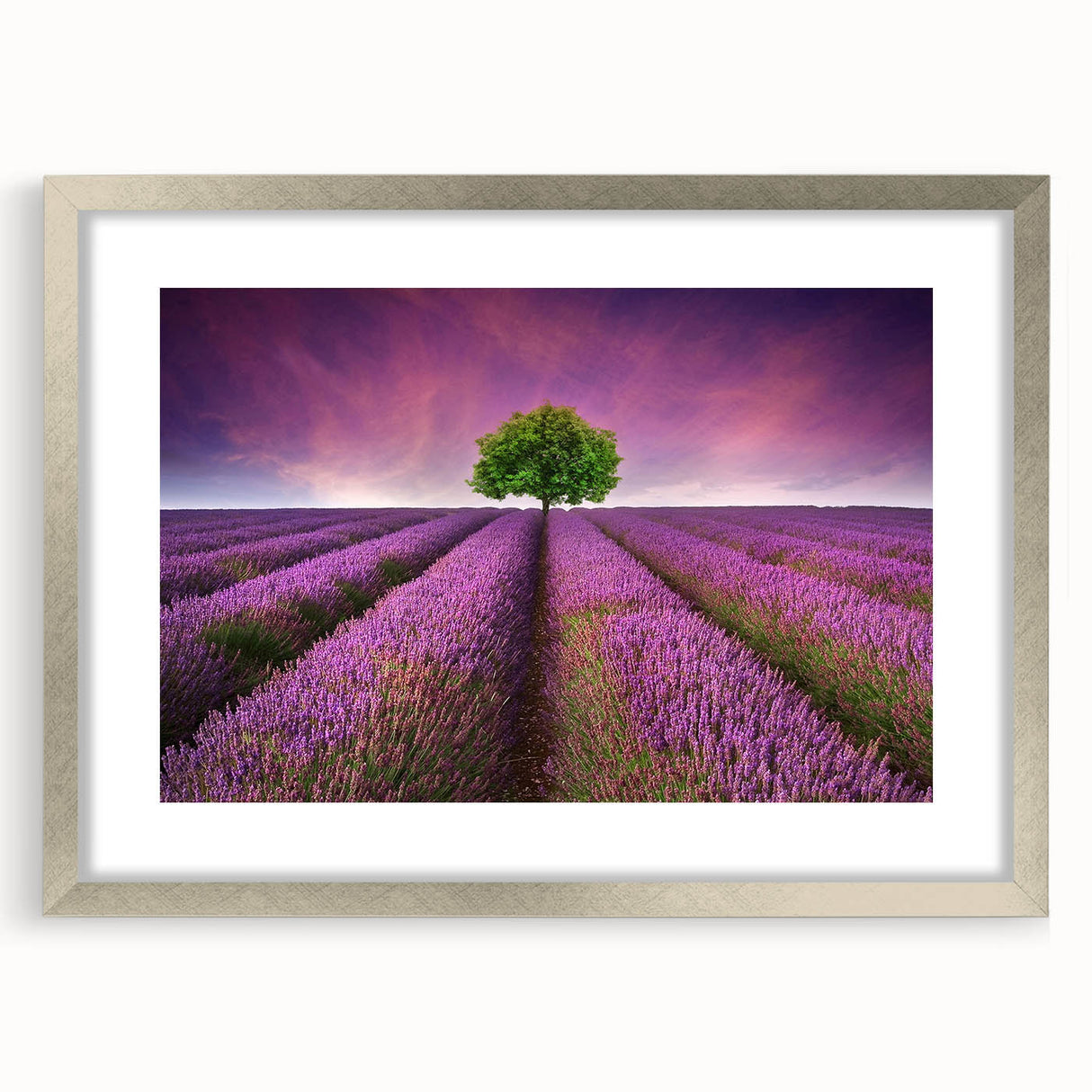 Framed wall art collection featuring a serene landscape of lush fields, designed with a silver mat and frame, perfect for home decor enhancement.