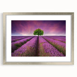 Framed wall art collection featuring a serene landscape of lush fields, designed with a silver mat and frame, perfect for home decor enhancement.