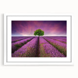Framed wall art showcasing a serene landscape of golden fields beneath a blue sky, featuring a white mat and sleek frame, perfect for home decor.