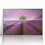 Framed acrylic wall art showcasing a vibrant landscape field design, featuring rich green and golden hues, presented in a sleek white frame, perfect for home decor.