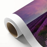 Vibrant rolled canvas wall art depicting a serene landscape of golden fields under a blue sky, ideal for home decor. Packaged securely in a protective tube.