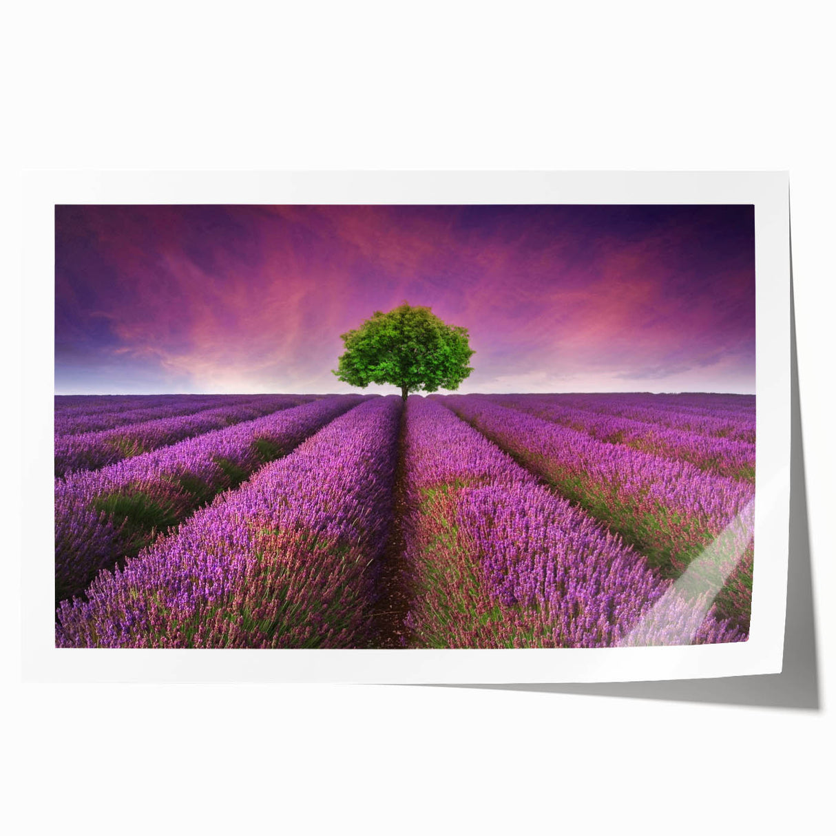 Vibrant landscape wall art print showcasing lush green fields under a bright blue sky, rolled and ready for display in a stylish home decor setting. Ideal for nature lovers and art enthusiasts seeking to enhance their living space.