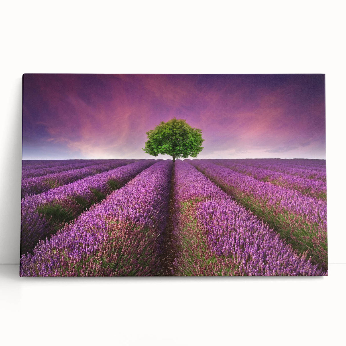 Stretched canvas wall art showcasing a vibrant landscape field design, featuring lush greenery and a serene sky, perfect for enhancing home decor aesthetics.