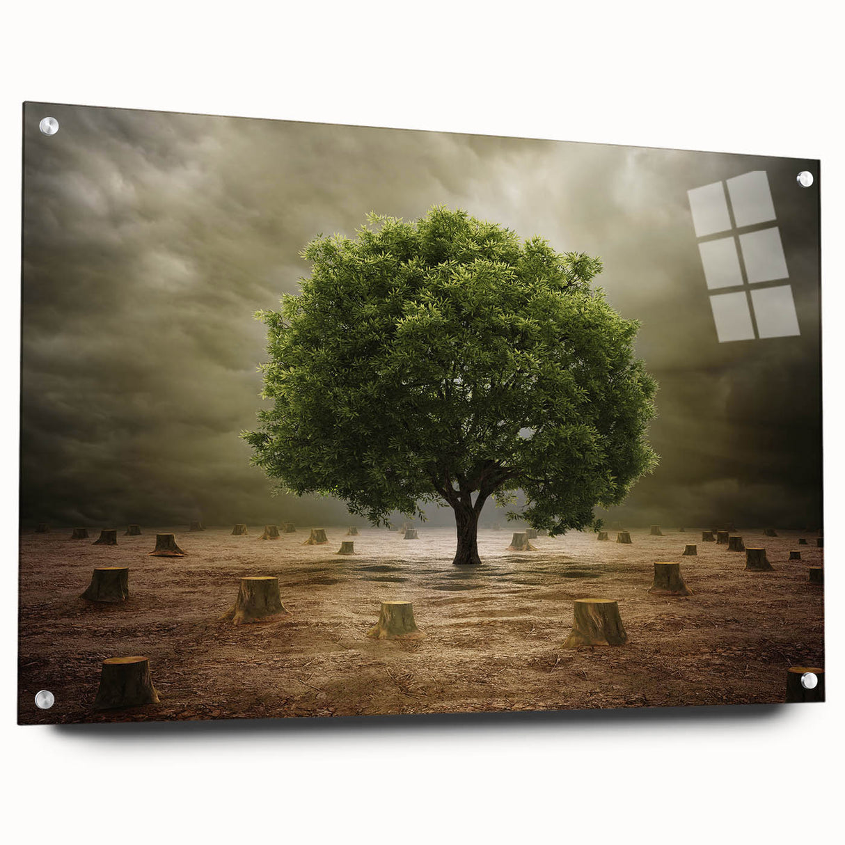 Acrylic glass wall art showcasing a vibrant landscape design of fields, viewed from the side with decorative pins, ideal for modern home decor.