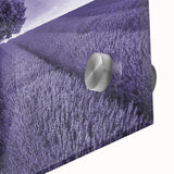 Close-up view of a vibrant acrylic glass wall art piece showcasing a colorful landscape field design, perfect for modern home decor and artistic interiors.