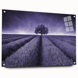 Acrylic glass wall art showcasing a vibrant landscape design of rolling fields, framed with pins for a contemporary look, ideal for modern home decor.