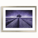 Framed wall art of serene landscape fields with vibrant green colors and soft blue skies, elegantly presented in a silver frame with a mat, ideal for home decor.
