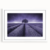 Framed wall art featuring a serene landscape of vibrant green fields and gentle hills, accented by a white mat and sleek frame, perfect for home decor.
