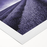 Vibrant rolled canvas artwork depicting a scenic landscape of lush green fields under a bright blue sky, ideal for enhancing wall decor in homes or offices.