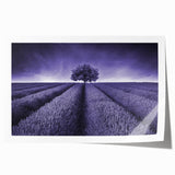 Vibrant rolled canvas print showcasing a serene landscape with lush green fields and a clear blue sky, ideal for home decor and art enthusiasts.