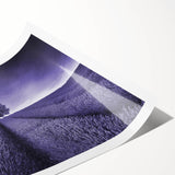 Vibrant rolled canvas print showcasing a serene landscape with rolling fields and a clear blue sky, ideal for home decor, packaged securely in a protective tube.