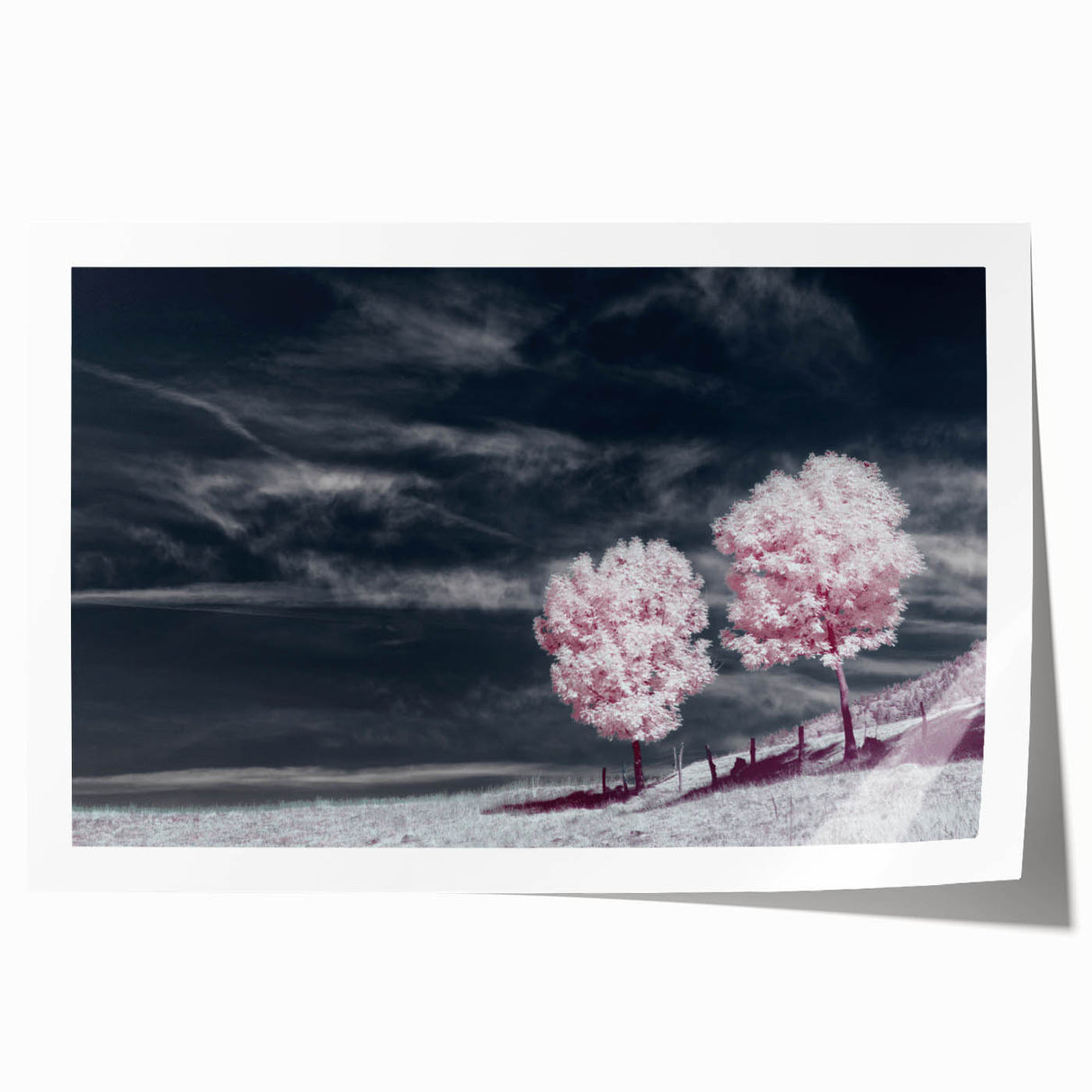Vibrant rolled wall art print showcasing a serene landscape of golden fields under a bright blue sky, perfect for home decor. Features rich colors and intricate details.