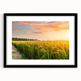Framed black wall art featuring a vibrant landscape field design with a mat, showcasing colorful fields under a clear blue sky, perfect for home decor.