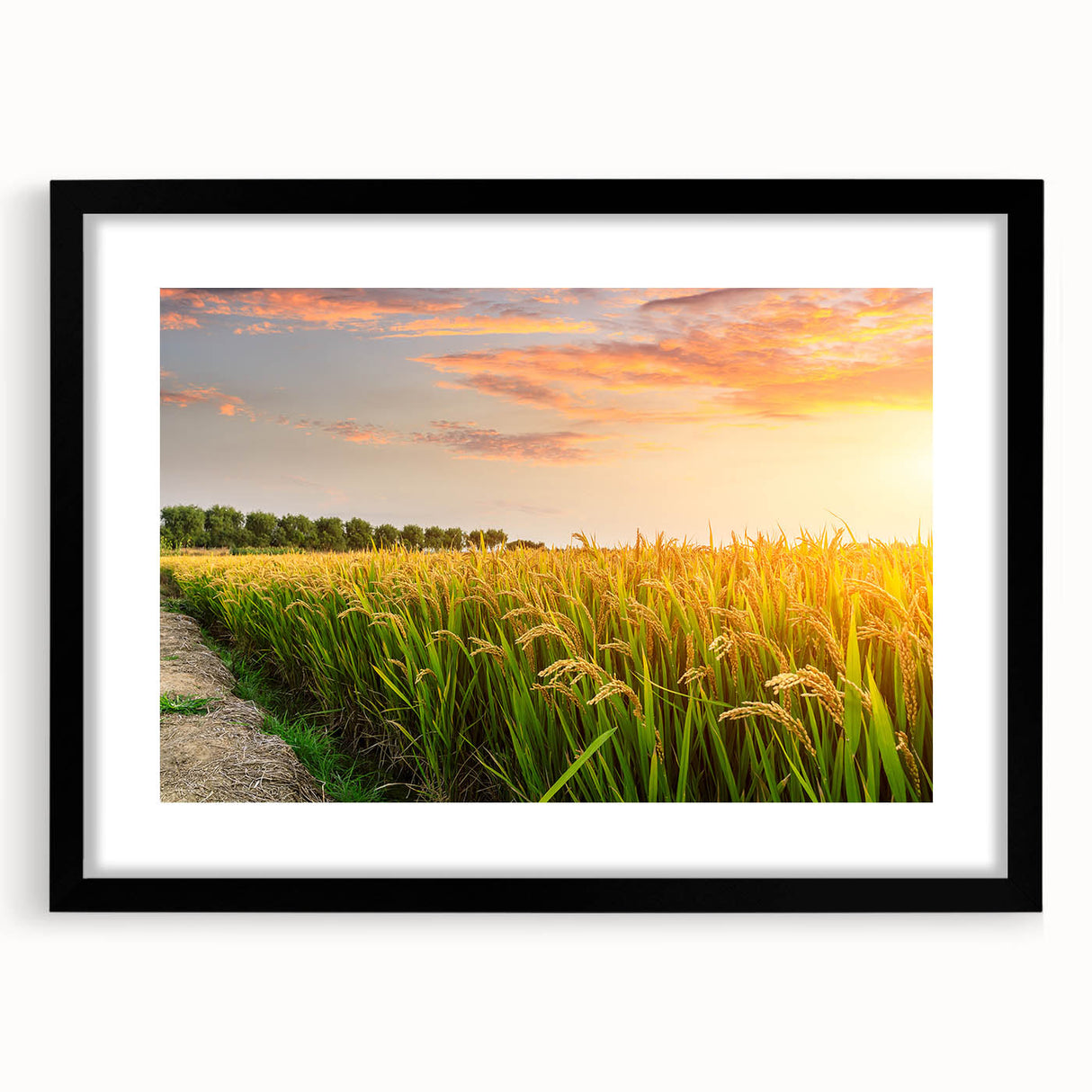 Framed black wall art featuring a vibrant landscape field design with a mat, showcasing colorful fields under a clear blue sky, perfect for home decor.