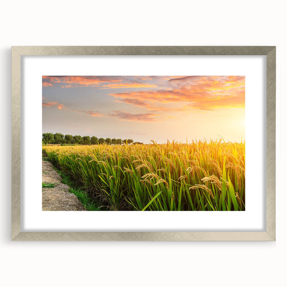 Framed wall art collection showcasing serene landscape fields design, featuring a silver mat and front view display, perfect for home decor enhancement.