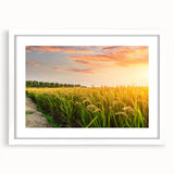 Framed wall art collection showcasing vibrant landscape fields design with a white mat, perfect for modern home decor. Ideal for adding color and elegance.