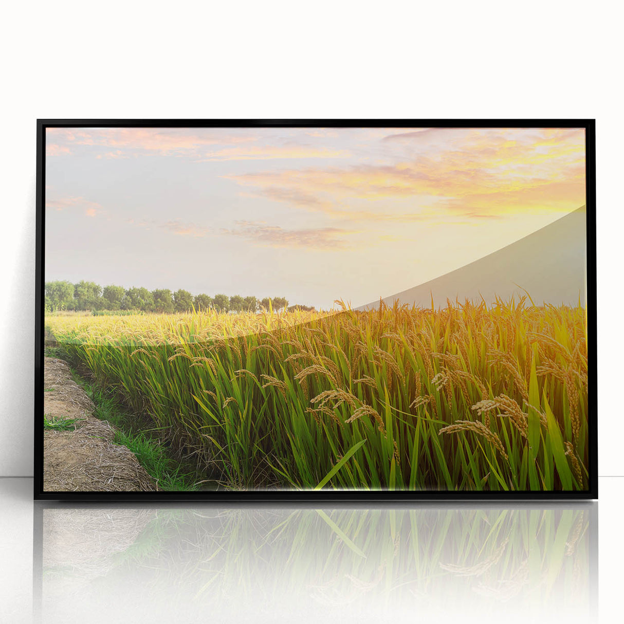 Framed acrylic wall art featuring a serene landscape of golden fields under a blue sky, designed to enhance modern decor, with a sleek black frame.