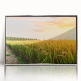 Framed acrylic wall art showcasing a serene landscape of golden fields under a clear blue sky, ideal for home decor with a modern touch.