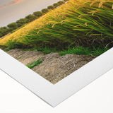 Vibrant rolled canvas wall art depicting a serene landscape of lush green fields under a blue sky, showcasing intricate details and textures, ideal for home decor.