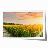 Vibrant landscape field design wall art print showcasing lush green fields under a bright blue sky, rolled for easy shipping and display. Perfect for home decor.
