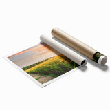 Vibrant rolled print showcasing a serene landscape field design with lush greenery and a clear blue sky, ideal for home decor and wall art enthusiasts.