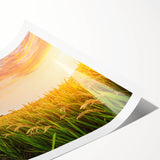 Vibrant rolled print showcasing a stunning landscape design with fields and hills, perfect for enhancing home decor. Comes packaged securely in a cardboard tube for safe delivery.