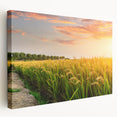 Stretched canvas wall art showcasing a serene landscape design with vibrant green fields and a blue sky, perfect for home decor or office aesthetics.
