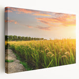 Stretched canvas wall art showcasing a serene landscape design with vibrant green fields and a blue sky, perfect for home decor or office aesthetics.