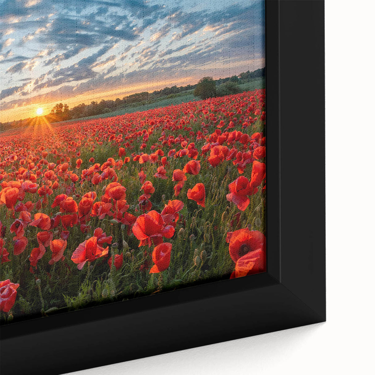 Close-up of a framed canvas wall art piece showcasing a vibrant landscape design with lush green fields, perfect for adding a serene touch to home decor. This artwork emphasizes natural beauty and tranquility, ideal for enhancing living spaces.