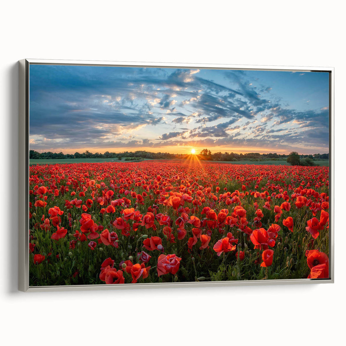 Framed canvas wall art showcasing a serene landscape field design, featuring lush green fields and a clear blue sky, with elegant silver framing that adds a modern touch. Perfect for enhancing home decor with a nature-inspired aesthetic.