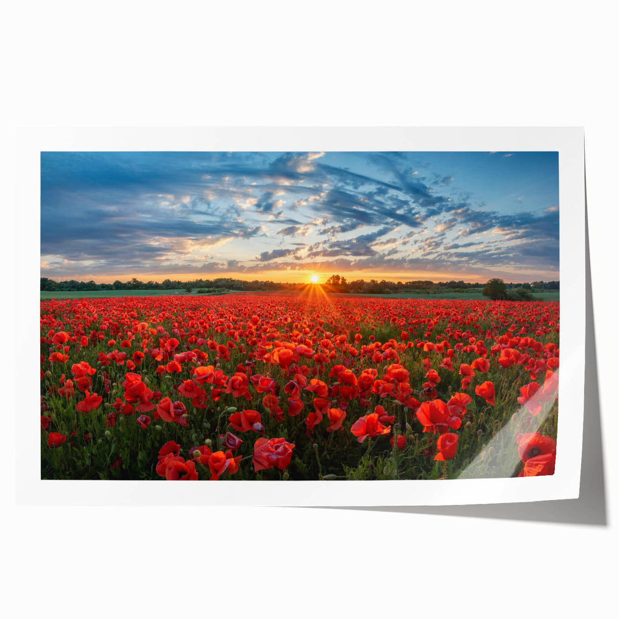 Vibrant rolled canvas showcasing a serene landscape with lush green fields and a clear blue sky, ideal for home decor, packaged securely in a cardboard tube.