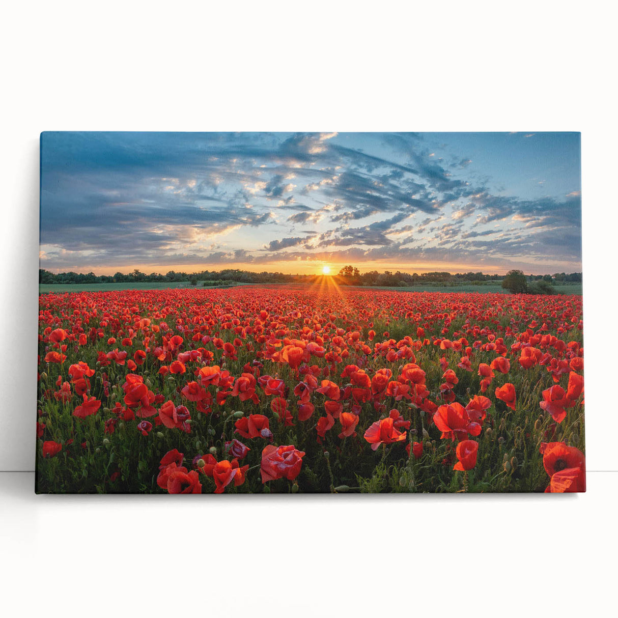 Stretched canvas artwork showcasing a vibrant landscape design with lush green fields and a serene sky, perfect for home decor and adding a nature-inspired touch.