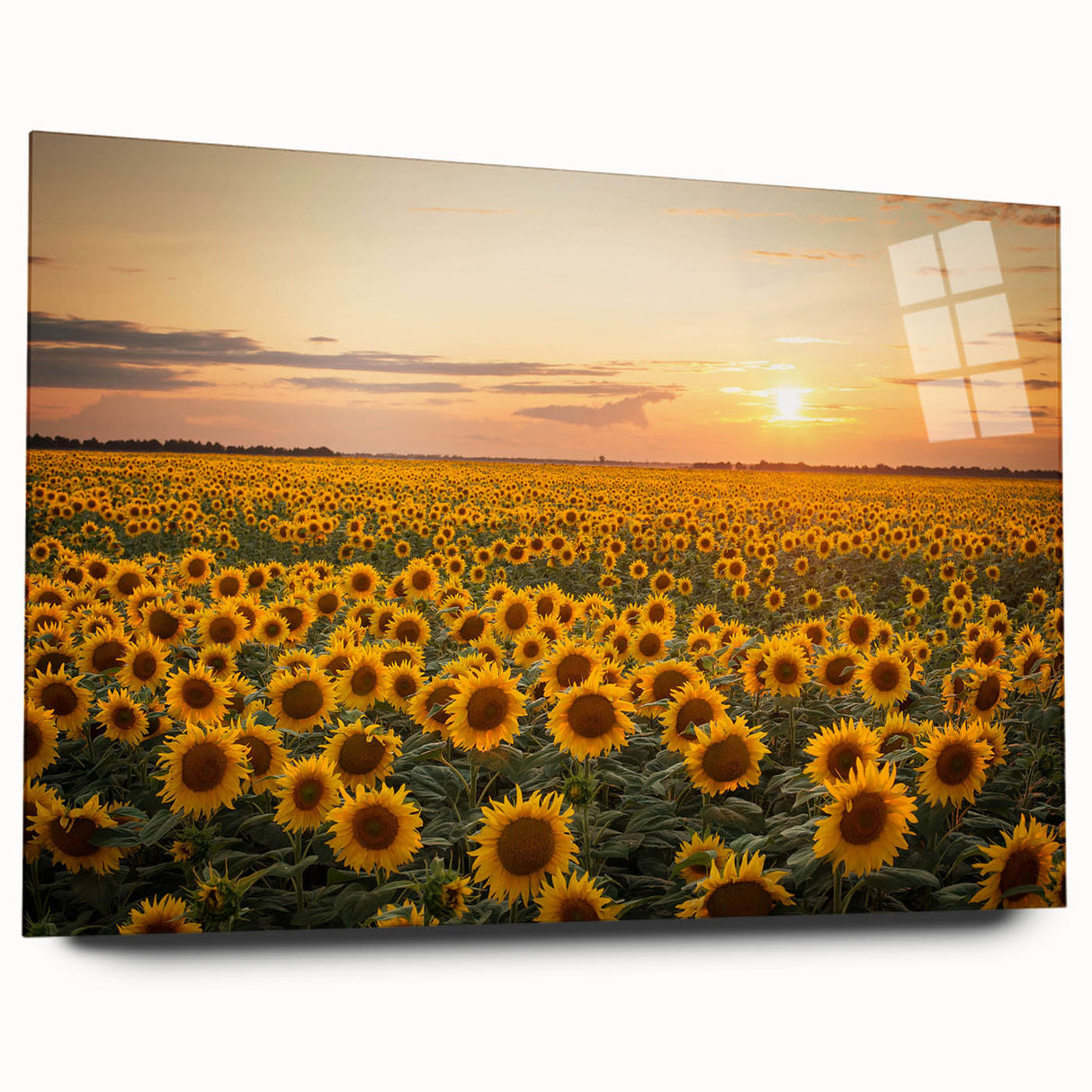 Acrylic glass wall art showcasing a vibrant landscape design with fields and rolling hills, elegantly displayed from a side view without pins, perfect for home decor.