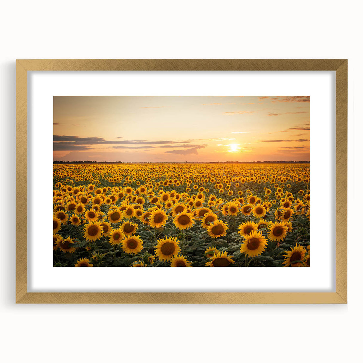 Framed wall art featuring a vibrant landscape design with golden accents, set in a stylish mat, ideal for enhancing home decor in modern spaces.
