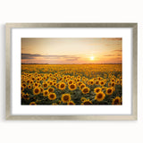 Framed wall art featuring a serene landscape of rolling fields, accented by a silver mat and frame, ideal for enhancing modern home decor. Perfect for nature lovers.