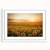 Framed wall art featuring a serene landscape of golden fields under a blue sky, with a white mat and frame, ideal for modern home decor and interior design.