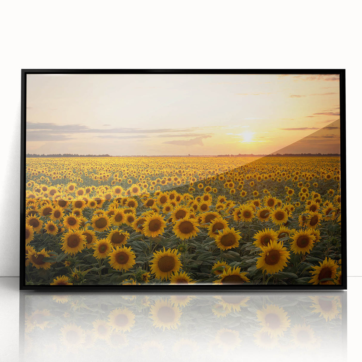 Framed black acrylic wall art showcasing a vibrant landscape design with lush green fields and a clear blue sky, perfect for home decor enhancement.