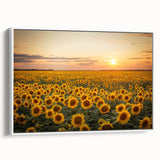 Framed canvas wall art displaying a serene landscape of golden fields under a blue sky, showcasing vibrant colors and intricate details for home decor elegance.