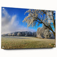 Acrylic glass wall art display featuring a vibrant landscape of fields, showcasing rich green hues and a serene blue sky, ideal for home decor enhancement.