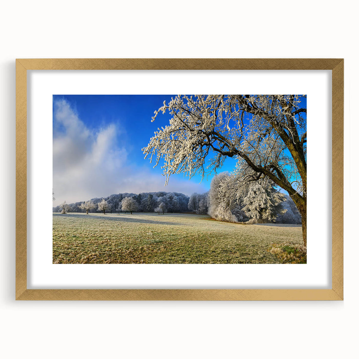 Framed wall art featuring a serene landscape of golden fields under a clear blue sky, with a sleek gold frame and white matting, perfect for home decor.
