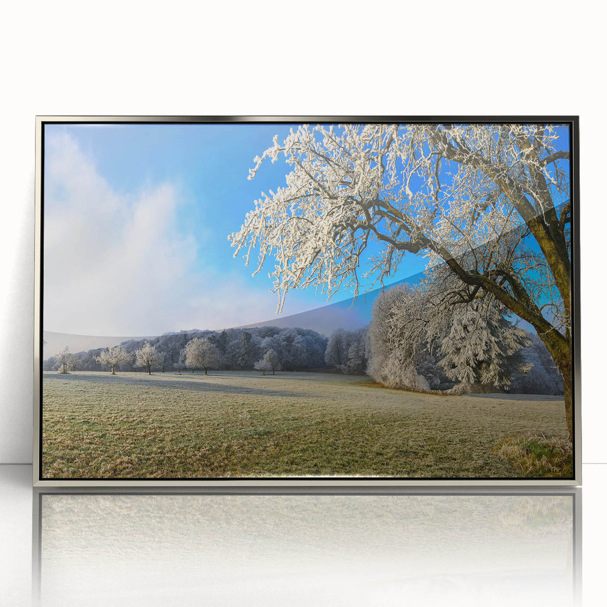 Framed acrylic wall art featuring a vibrant landscape design with fields and trees, showcased in a sleek silver frame, perfect for modern home decor.